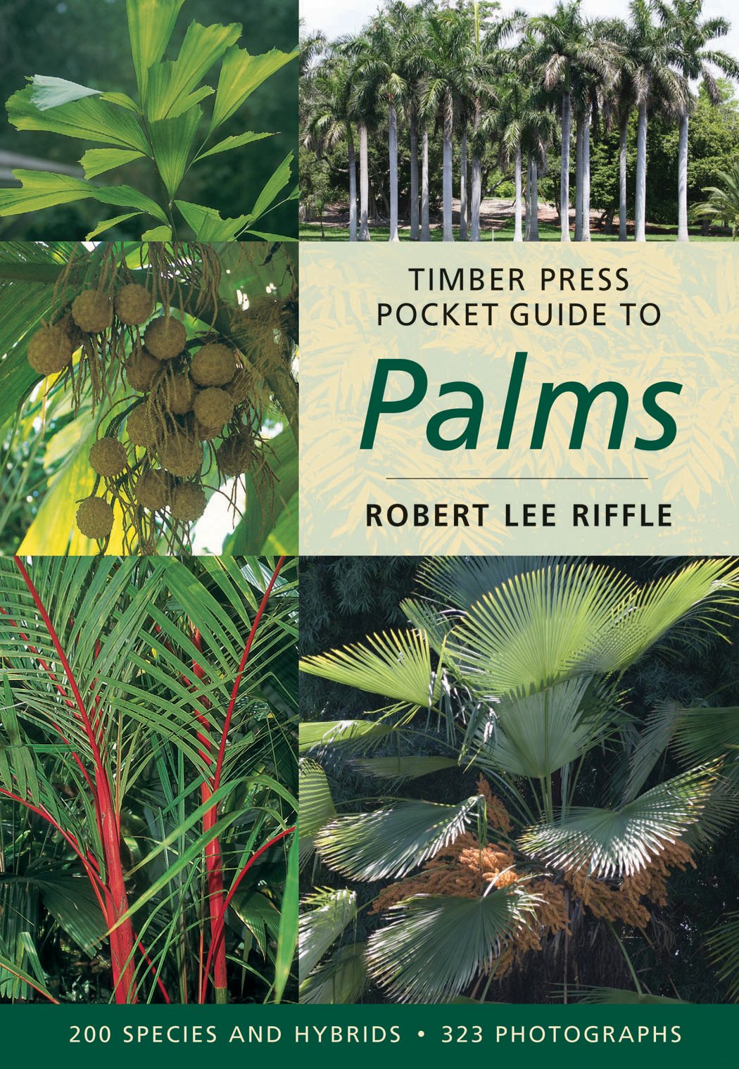 Timber Press Pocket Guide to Palms: Robert Lee Riffle